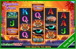 Sumatran Storm Wild